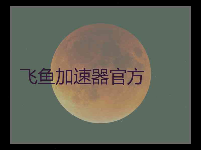 飞鱼加速器官方