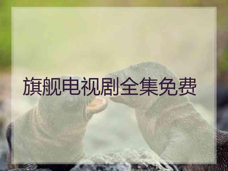 旗舰电视剧全集免费