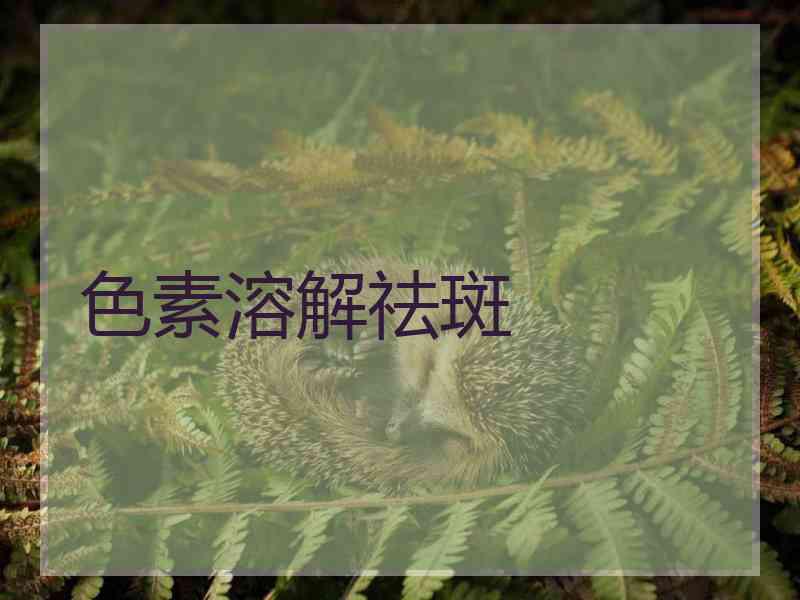 色素溶解祛斑