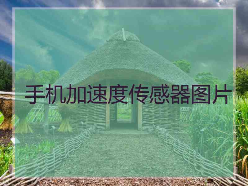 手机加速度传感器图片