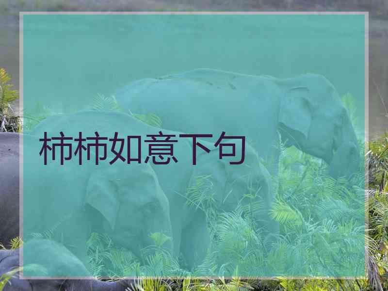 柿柿如意下句
