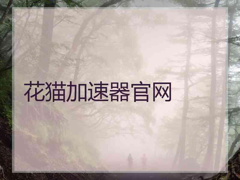 花猫加速器官网