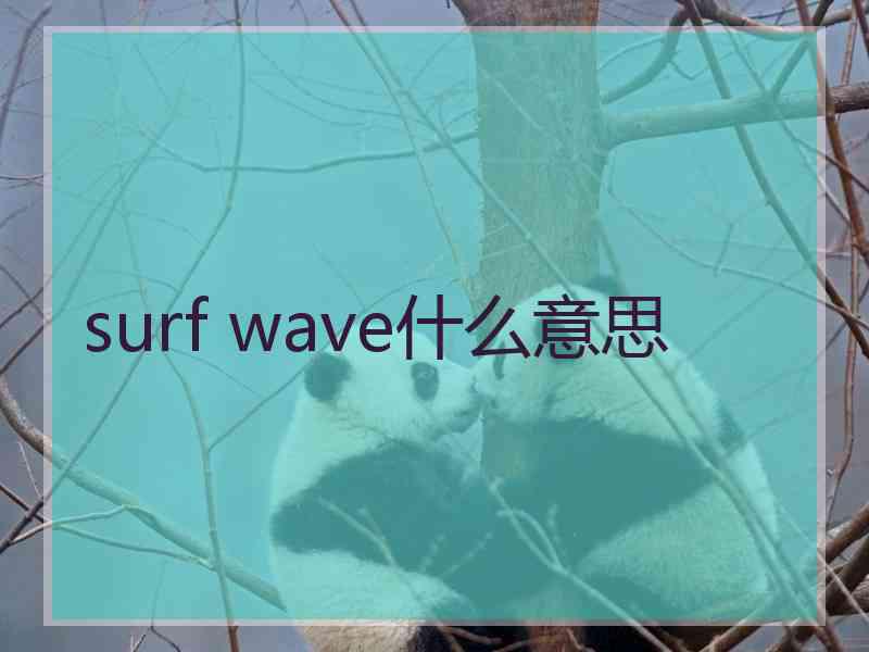surf wave什么意思