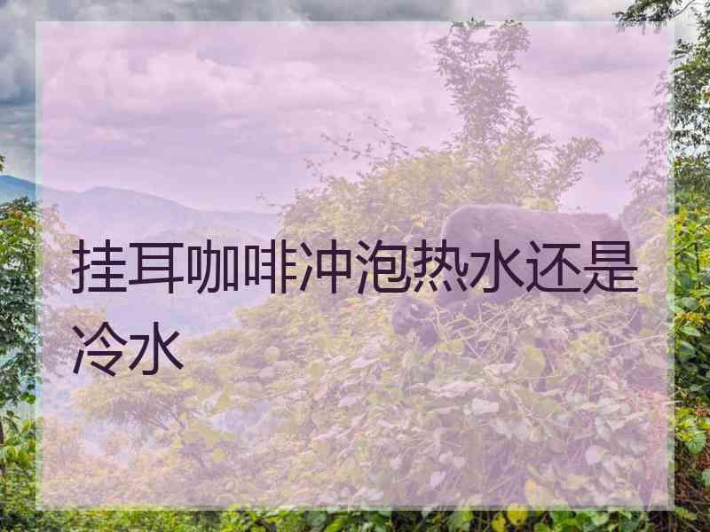 挂耳咖啡冲泡热水还是冷水