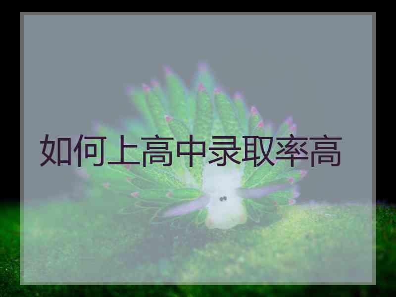 如何上高中录取率高