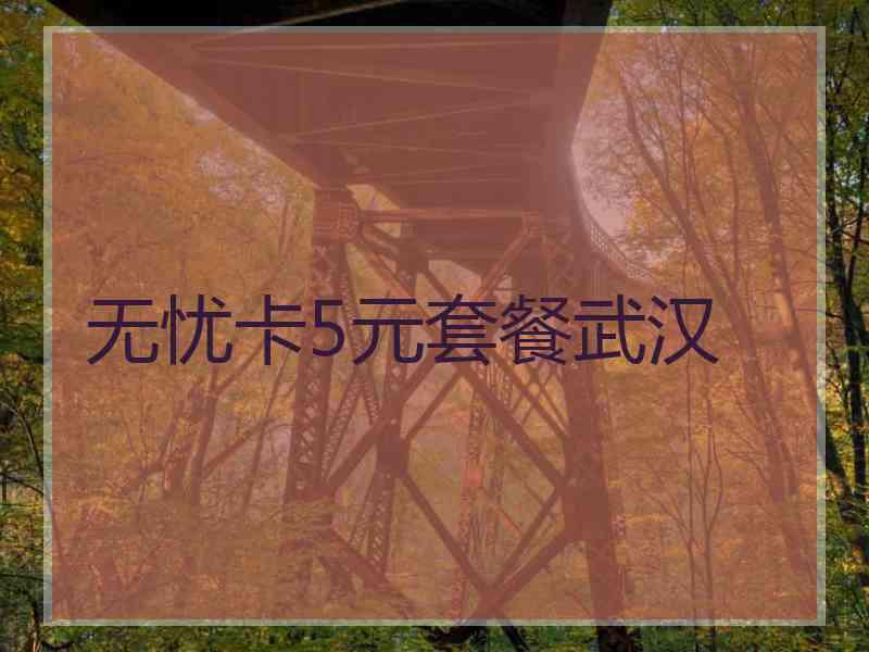 无忧卡5元套餐武汉
