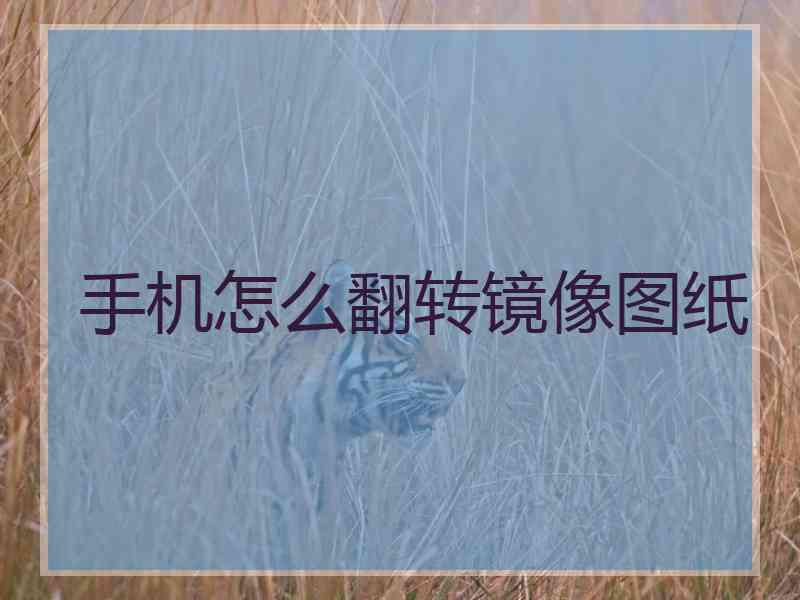 手机怎么翻转镜像图纸