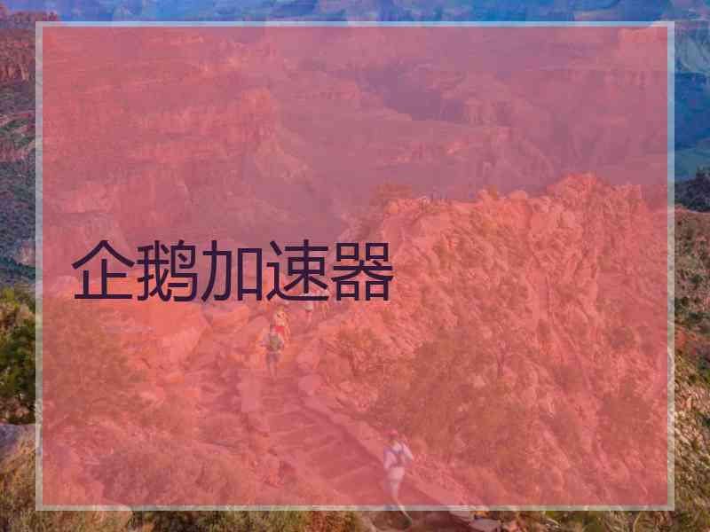 企鹅加速器