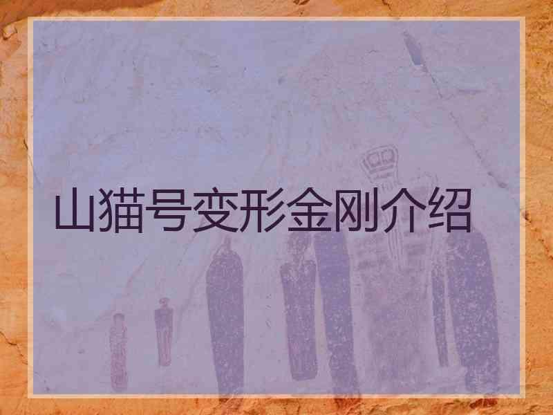 山猫号变形金刚介绍