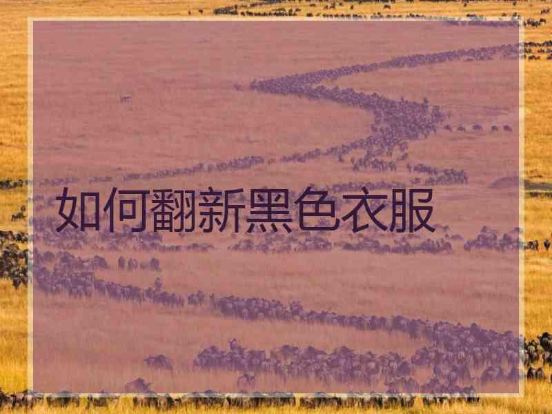 如何翻新黑色衣服