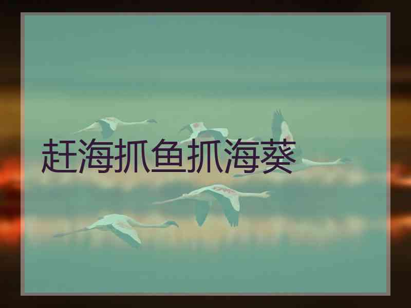 赶海抓鱼抓海葵