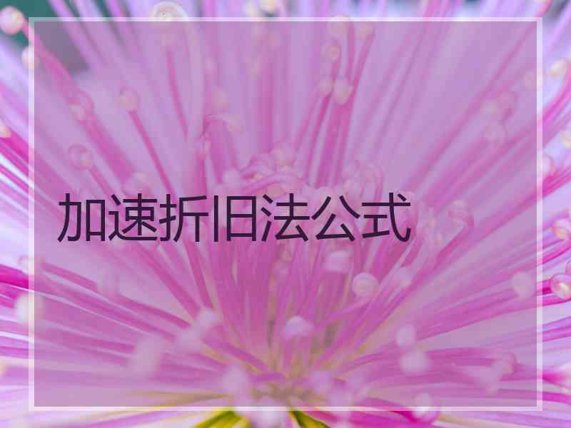 加速折旧法公式