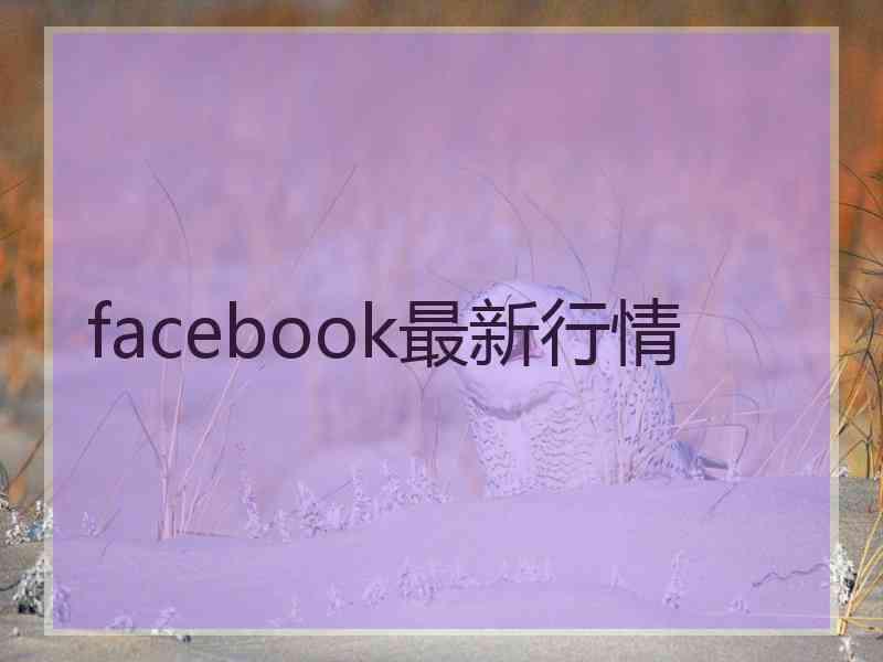 facebook最新行情
