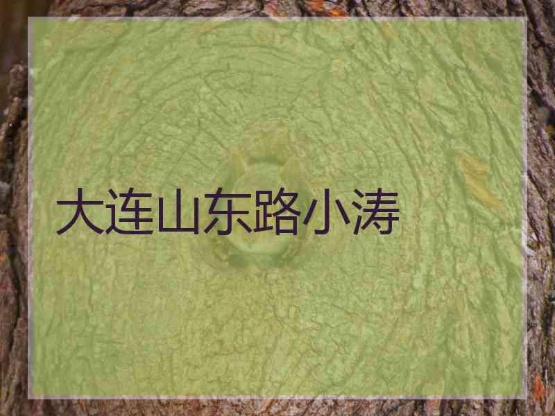 大连山东路小涛