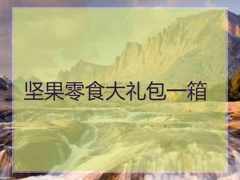 坚果零食大礼包一箱