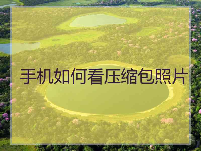 手机如何看压缩包照片