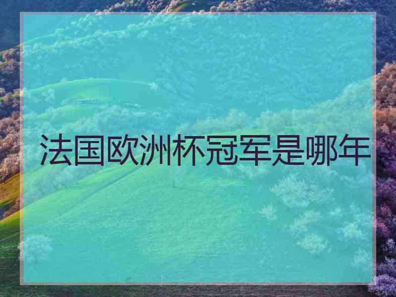法国欧洲杯冠军是哪年