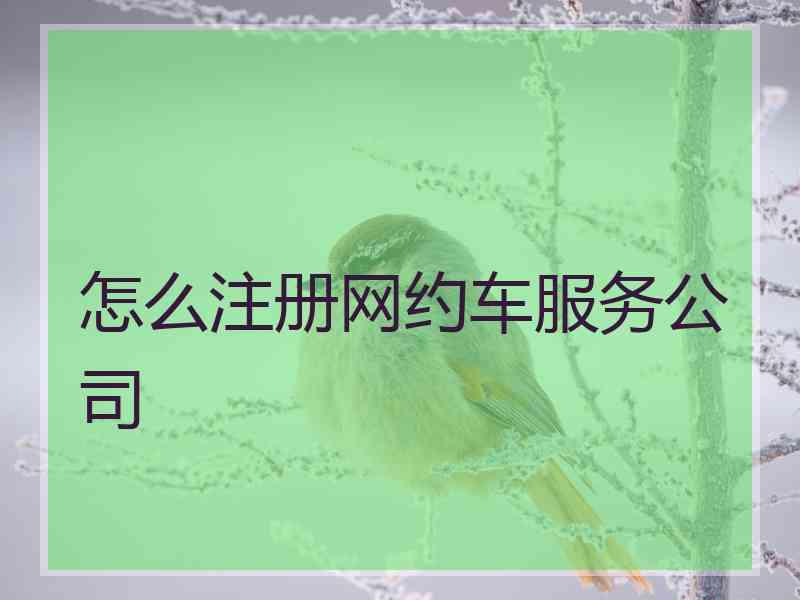 怎么注册网约车服务公司