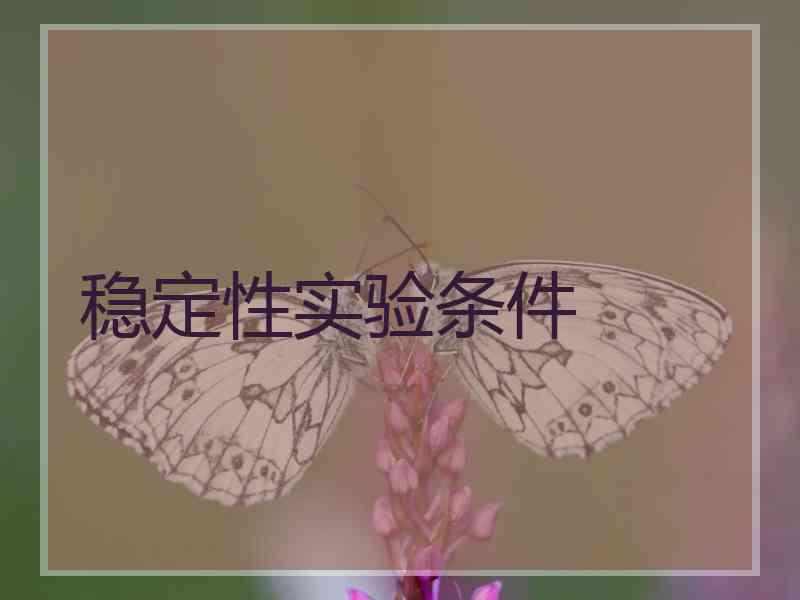 稳定性实验条件