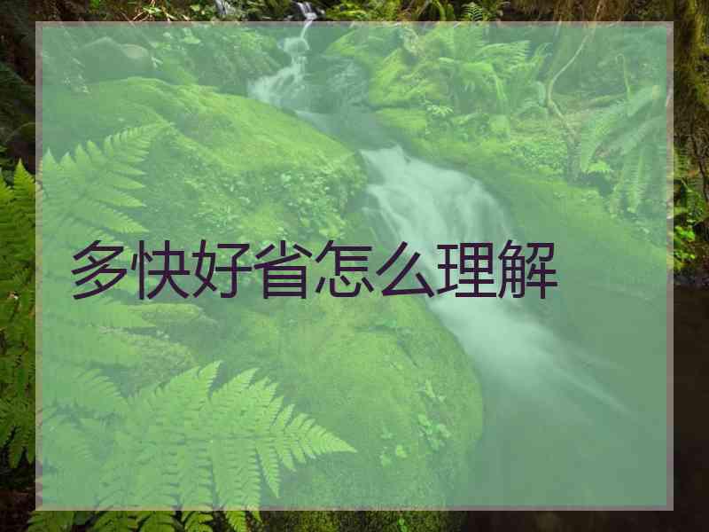 多快好省怎么理解