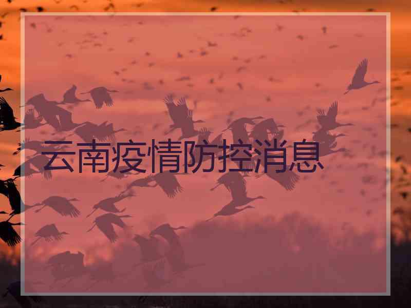云南疫情防控消息