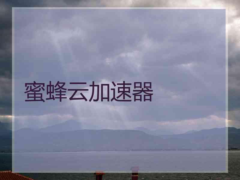 蜜蜂云加速器