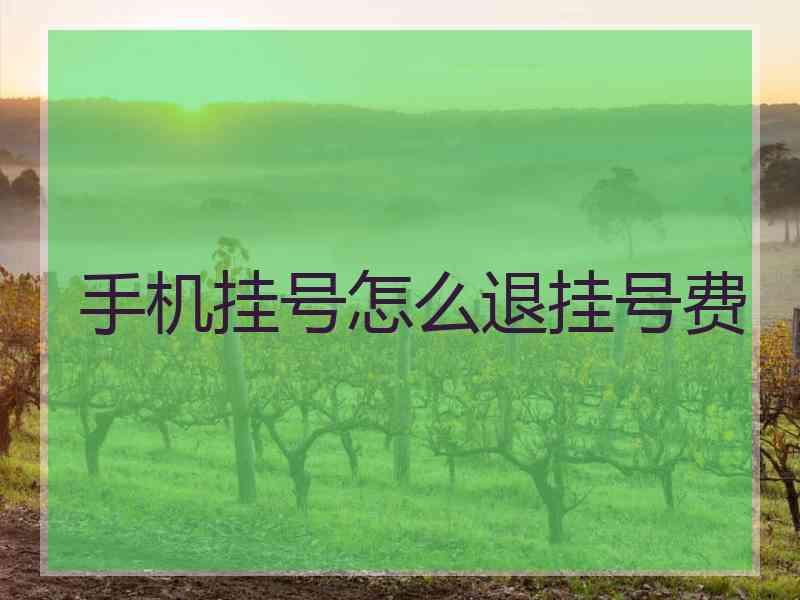 手机挂号怎么退挂号费