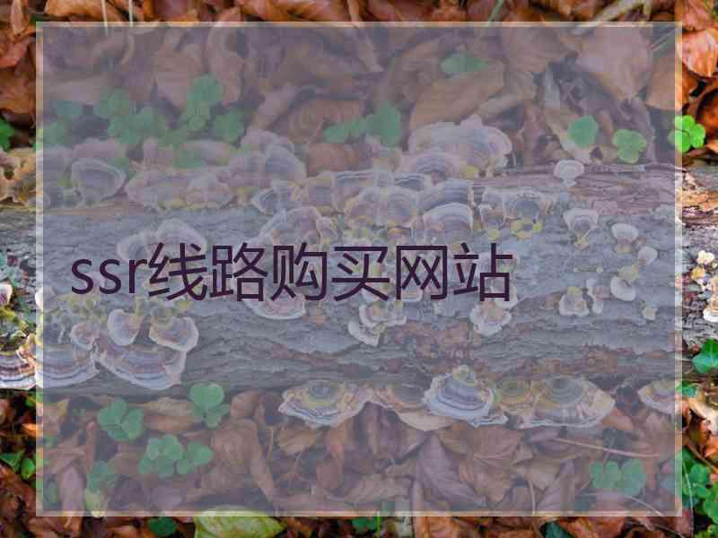 ssr线路购买网站