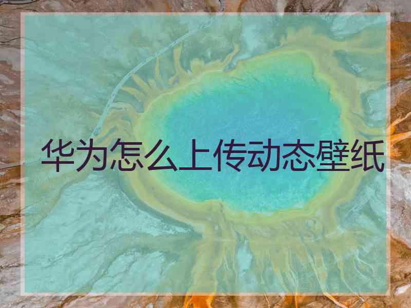 华为怎么上传动态壁纸