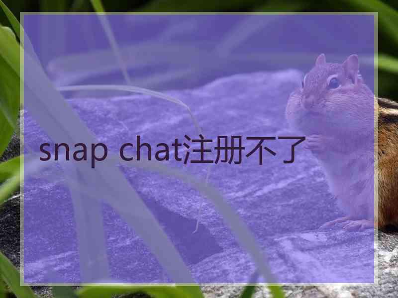 snap chat注册不了
