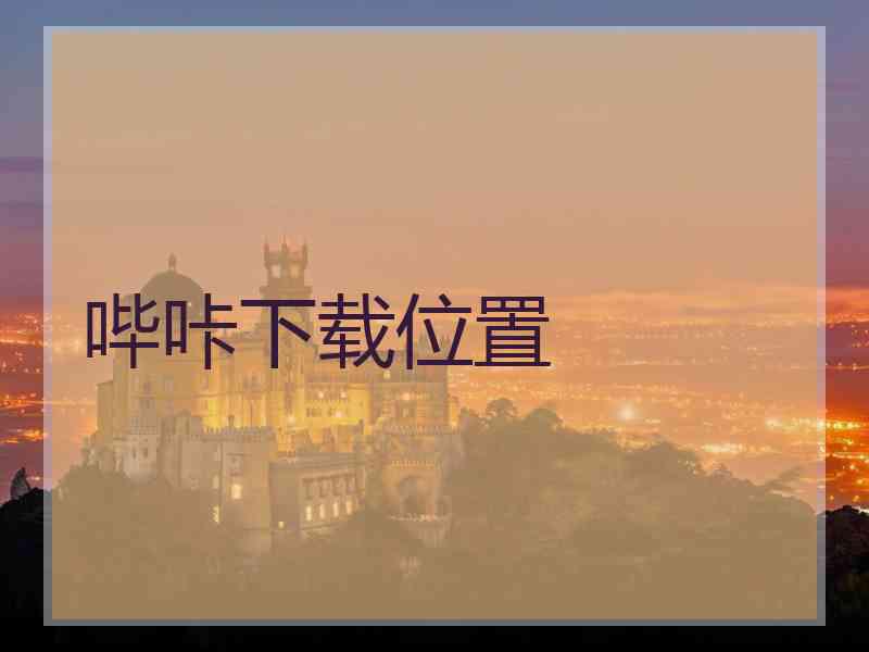 哔咔下载位置