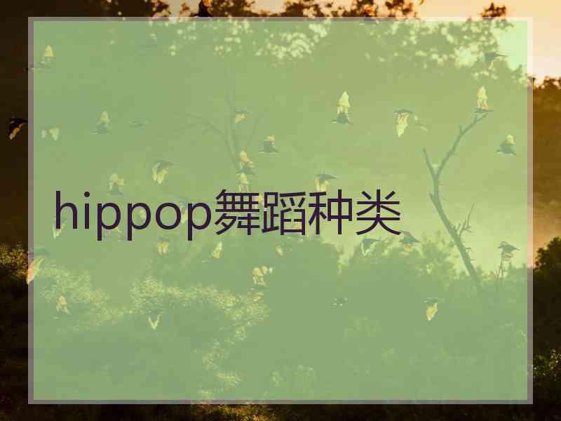 hippop舞蹈种类