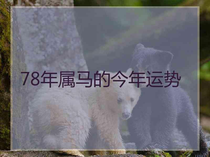 78年属马的今年运势
