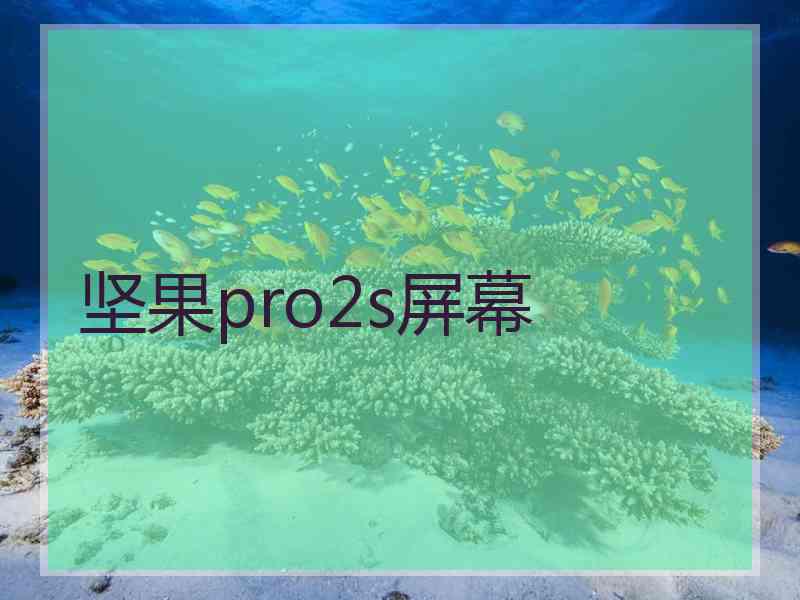 坚果pro2s屏幕