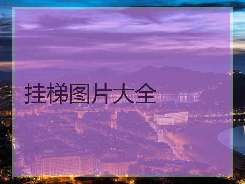挂梯图片大全