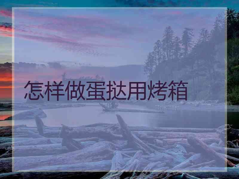怎样做蛋挞用烤箱