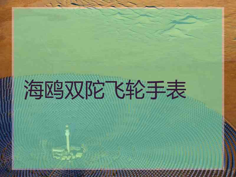 海鸥双陀飞轮手表