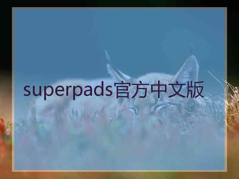 superpads官方中文版