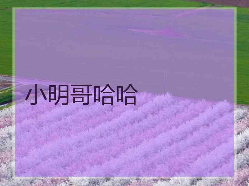 小明哥哈哈