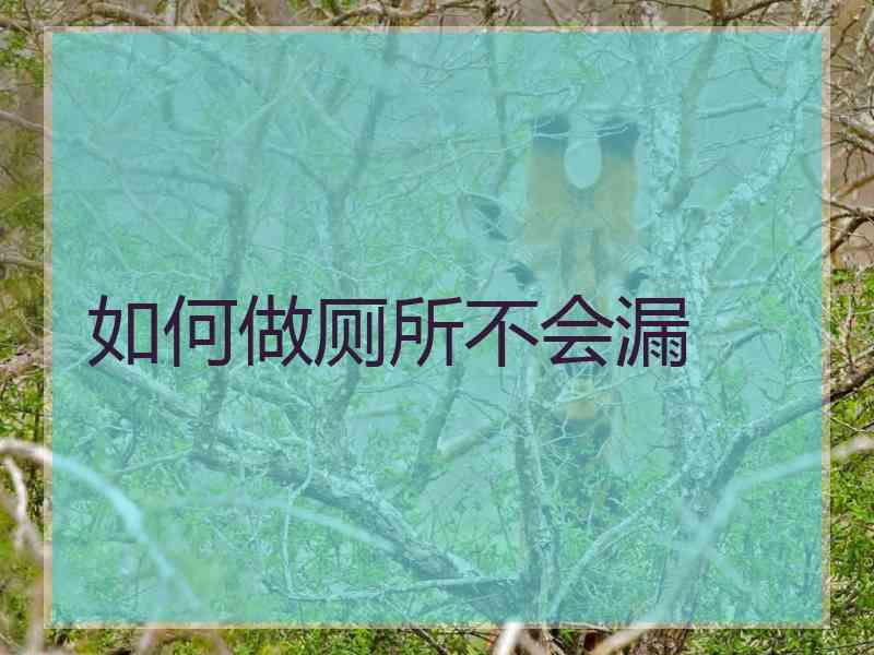 如何做厕所不会漏