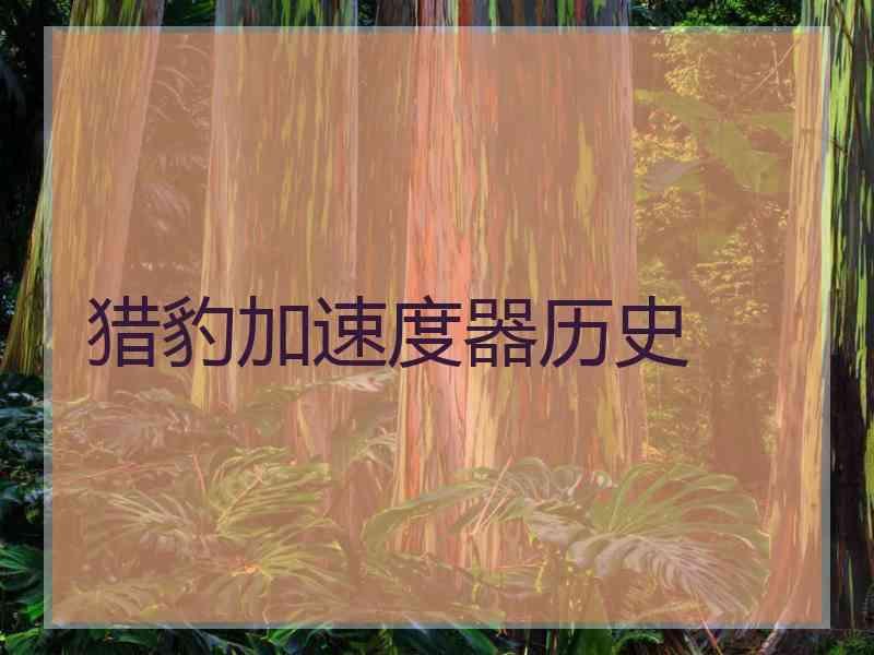 猎豹加速度器历史
