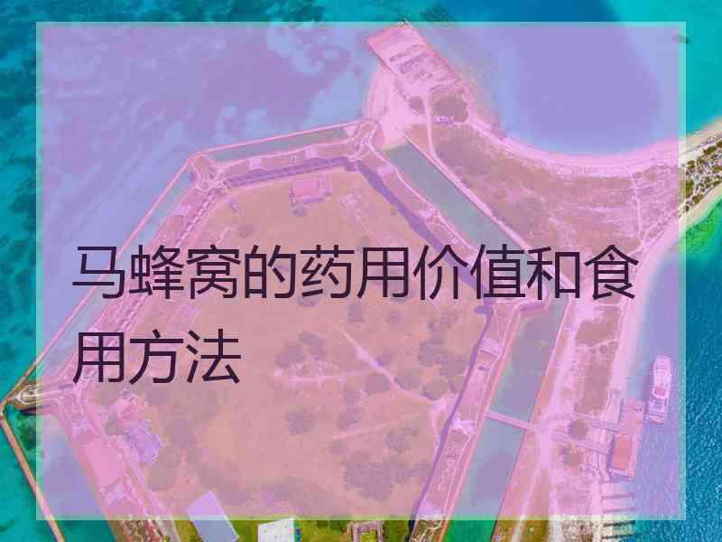 马蜂窝的药用价值和食用方法