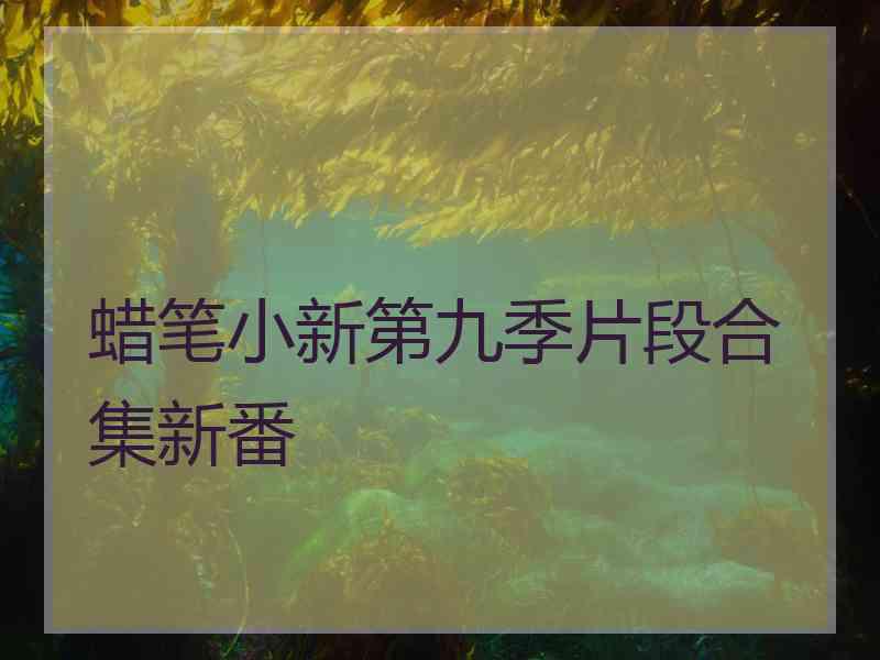 蜡笔小新第九季片段合集新番