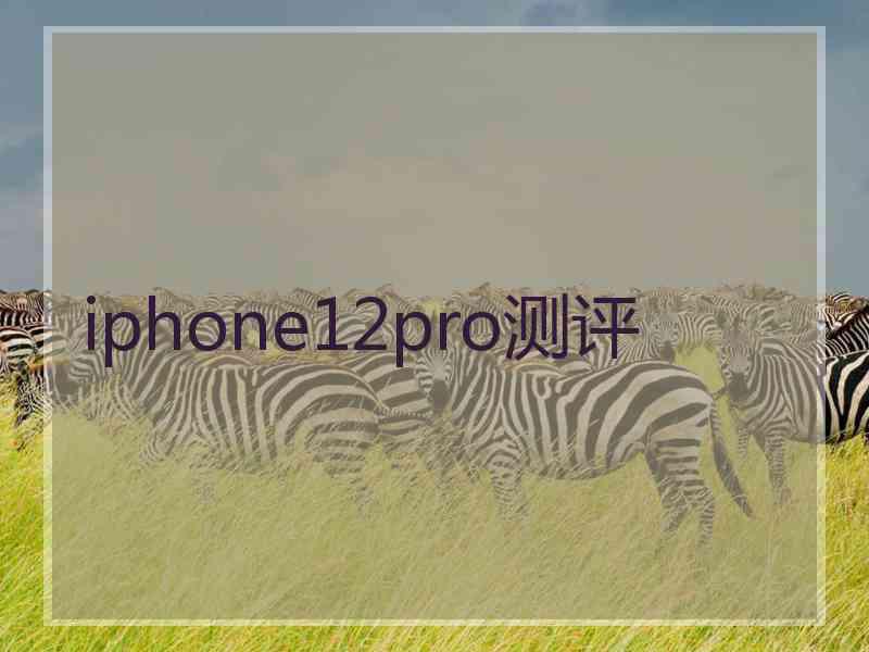 iphone12pro测评