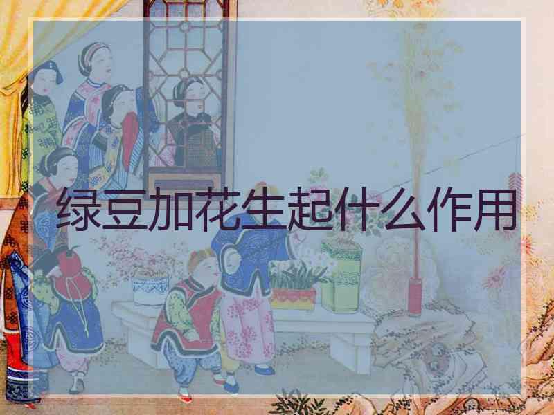 绿豆加花生起什么作用
