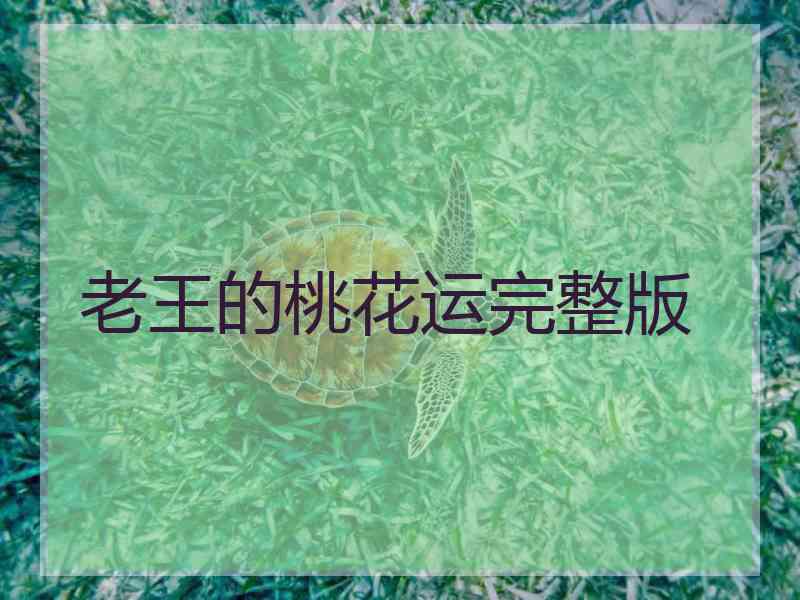 老王的桃花运完整版