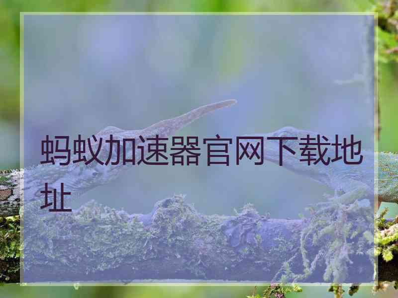 蚂蚁加速器官网下载地址