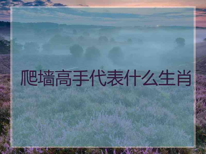 爬墙高手代表什么生肖