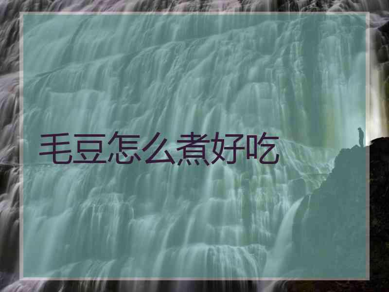 毛豆怎么煮好吃