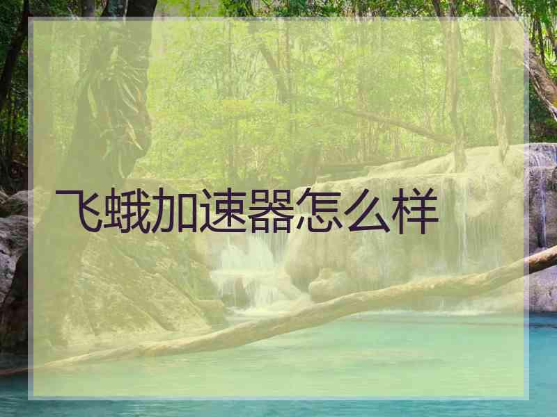 飞蛾加速器怎么样